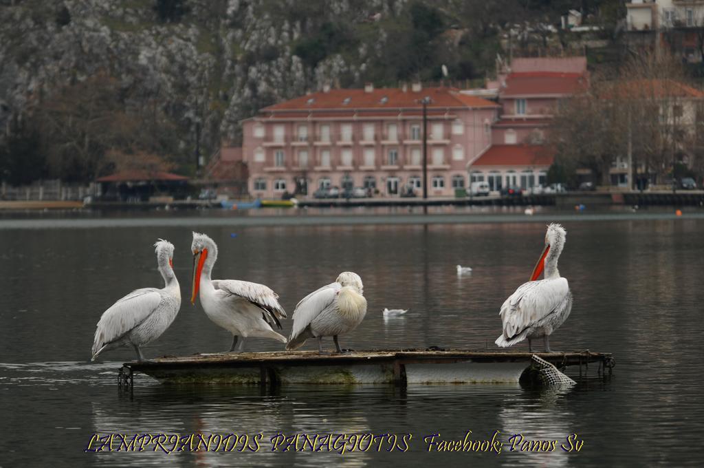 Hotel Kastoria In Kastoria City Buitenkant foto